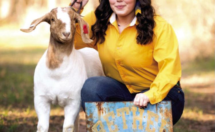 Paisley Sturgill of Bethel poses with one of her seven goats in her 2020-21 senior pictures. Sturgill’s SAE was in goat production in high school. Now a senior at OSU, she recently received her American FFA Degree. Photo provided.