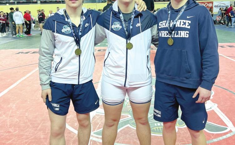 Rochelle, Cash, Anderson Place At State Wrestling