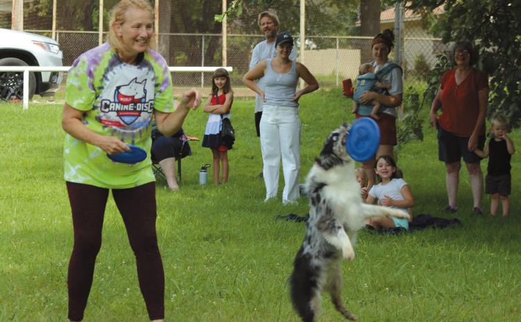 Miss Demeanor catches a frisbee during the Shawnee Public Library Summer Learning Challenge program at Boy Scout Park on July 12. Tornado Alley Disc Dogs brought four dogs to perform that day, and co-owner Jeff Savage spoke about how to train dogs.