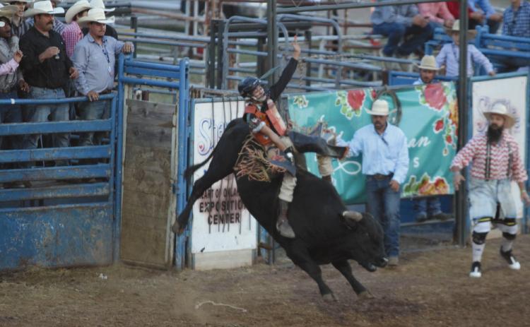Lundan Seidl of Shawnee tries to keep his form during the International Finals Youth Rodeo opening night on July 6. Seidl has been riding bulls, like his father used to, for about a year now. Natasha Dunagan, Countywide & Sun