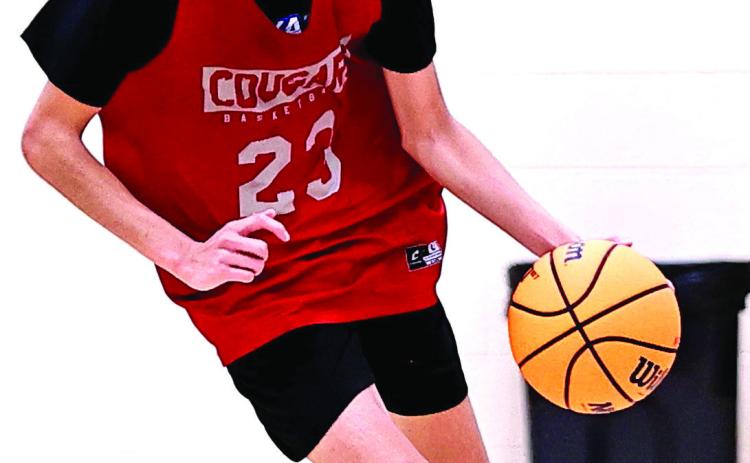 North Rock Creek’s Cason Coomer looks up the court. Photo courtesy of Gowin Photography