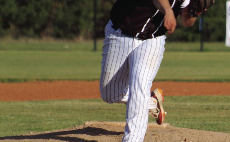 Earlsboro senior Rodney Stryker hurls the ball home in the game against Stratford on April 17. The Wildcats won, 12-9. Countywide &amp; Sun/ Natasha Dunagan