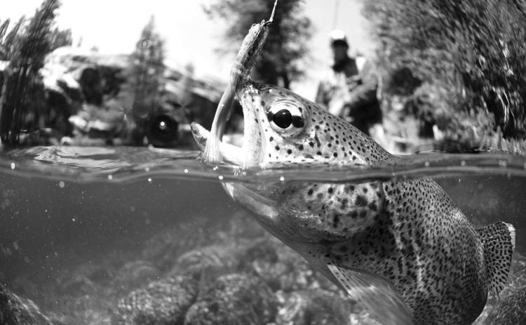 Fishing Report