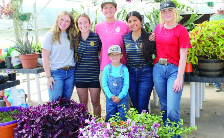 Several McLoud FFA students (and a little brother) were ready to help customers at their first plant sale, Oct. 19-20, since their new climate-controlled greenhouse was built. They offered mums in several colors at the sale, as well as tulip bulbs from a business in Harrah. Horticulture students have also grown wax begonias, succulents, coleus, potato vine, wandering jews, Swedish Ivy and potato vines, which will be offered at their sale in April. (See longer cutline below.)