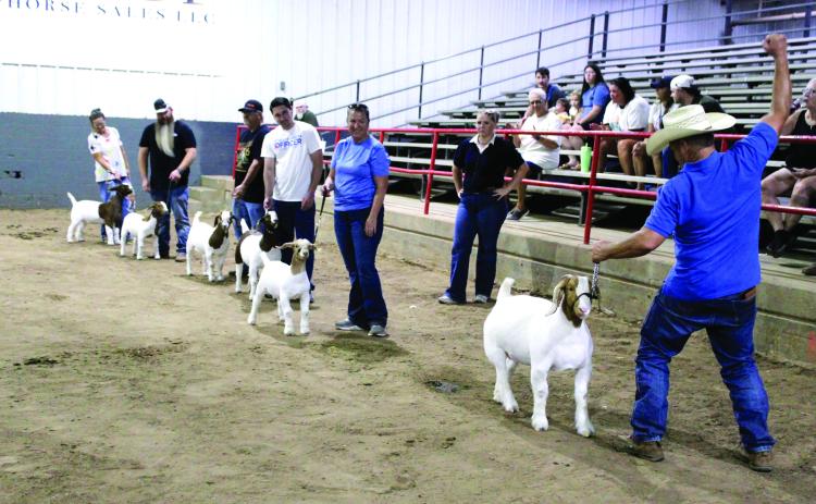 State Representative Danny Sterling, far right, celebrates winning the Celebrity Showmanship Goat Contest at the Pottawatomie County Free Fair on Sept. 12. From left, the other exhibitors were Lindsey Emerson, Kevin Harbison, Joe Milburn, Troy Officer and Charilyn Milburn. Also shown is Josey Milburn. Photos by Natasha Dunagan, Countywide & Sun