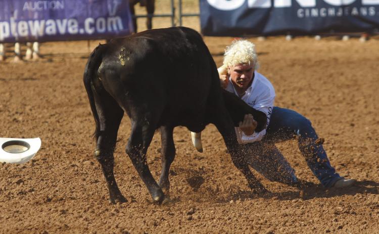 Dally Trussell of McLoud wrestles a steer in the second go-round of the IFYR on the morning of July 11. Natasha Dunagan, Countywide & Sun