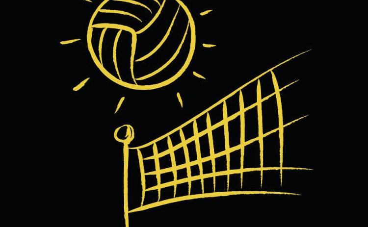 THS Volleyball Preview