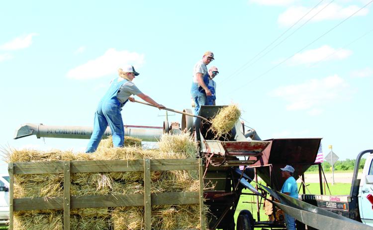 Shelby Smith feeds hay into a 1922 McCormick-Deering separator, as Dylan Smith and Ricky Hostetter oversee operations during the 26th Annual Farming Heritage Festival, held at Shawnee Feed Center on June 20-21. John Marlow said they had trouble finding wheat to separate this year due to wet conditions. The separator, made in Canada, was brought to the festival by the Silver City Antique Tractor Club in Tuttle. This year, the event doubled as the Early Day Gas Engine & Tractor Association National Show.