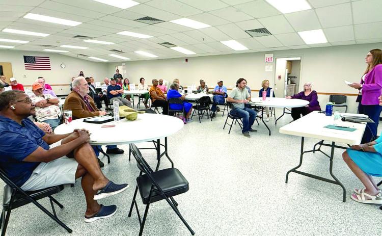 The Farrall Park Town Hall, held on July 14, drew in a small crowd, but the overall message was to spread the word that the entire community needs to be involved. Julie Talton, Countywide &amp; Sun