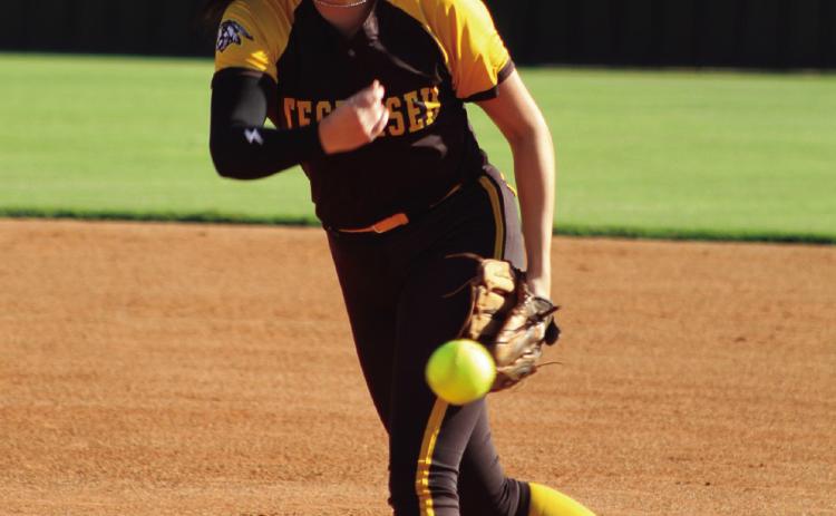 Tecumseh senior Jacee Townsend sails one over home plate in the first inning.