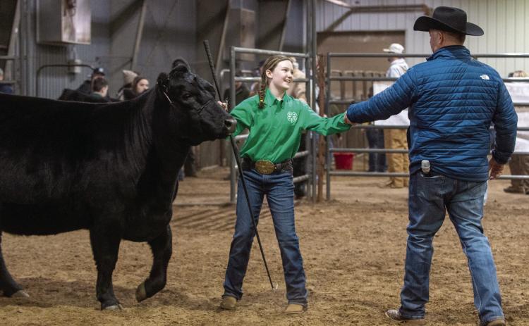 Taycie Baker- Bethel 4-H. Reserve Supreme Champion Heifer. Photo courtesy of Delia Crawford