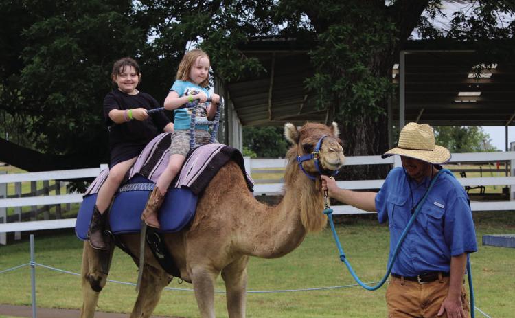Elizabeth Stowe, 9, and Megan Stowe, 5, of Tecumseh, ride on Sally the Camel, led by Jesse Malchow, of Camels Unlimited in Adair, during the FireLake Fireflight Balloon Festival on Aug. 10. Camel rides were a new addition to the Kids' Zone this year. Countywide & Sun/Natasha Dunagan