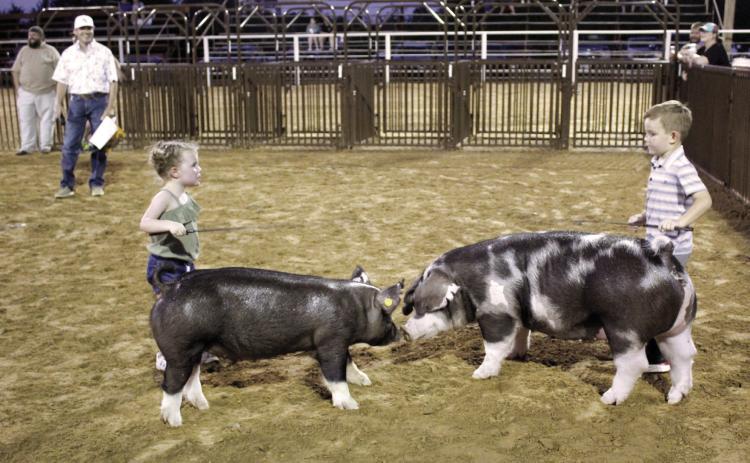 Jadi Davis of Tecumseh, left, tells Grady Whittington of South Rock Creek, “I’m winning,” during the Pee Wee Showmanship division of the T-Town Showdown on Aug. 26. Judge Colton Blehm later arranged it where they both won a cash prize. Countywide &amp; Sun/Natasha Dunagan