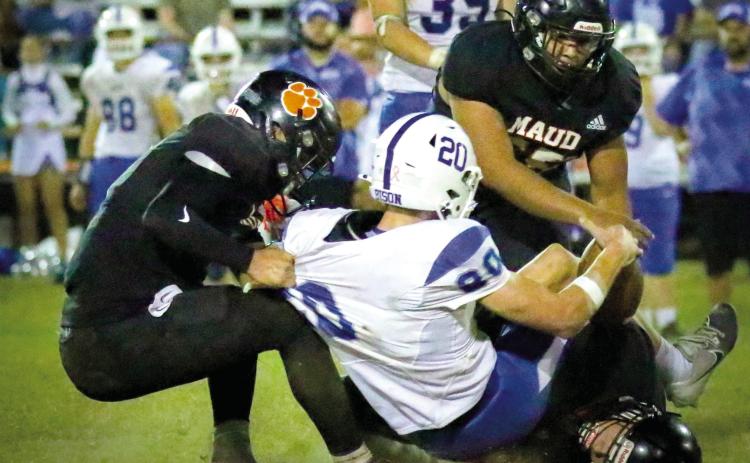 Three Maud Tigers take down a Bowlegs Bison.