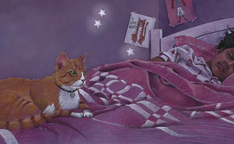 Cat in the Night by Joshua Brunet. Photo provided