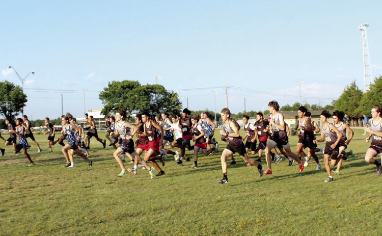The high school boys take off from the starting line during the 2025 Savage Cross Country Invitational on Sept. 23. There were 77 high school boys who completed the race. See full caption below.