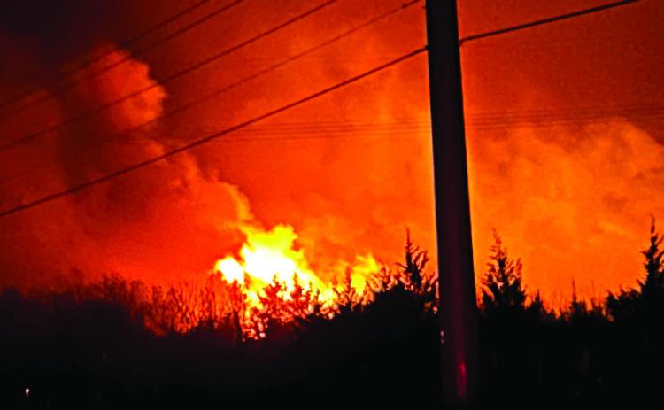 After working hard to douse the fires, a Red Cedar bursts into flames reaching far above the surrounding trees. Suzie Campbell, Countywide & Sun