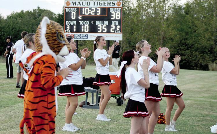 The Maud High School Cheerleaders and their Tiger mascot keep the crowd's spirits up during the Sept. 4 home game against Davenport. Natasha Dunagan, Countywide &amp; Sun