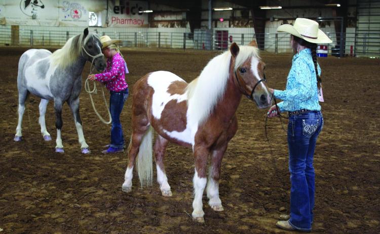 Marena Wilson and Keelie Utter show their Small Ponies in the Pottawatomie County Horse Show at the Free Fair on Sept. 10. Wilson placed first, and Utter placed second in the class. Countywide &amp; Sun/Natasha Dunagan