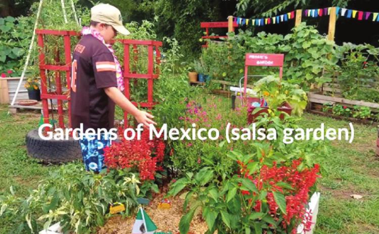 South Rock Creek 4-H President Gabe Hobbs stands in his garden during last year’s “Oh, the Places You’ll Go” county garden contest. Hobbs won first in the contest. This year, Hobbs has organized his own gardening contest, focusing on bell peppers. Photo provided.