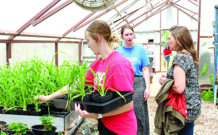Tecumseh agriculture student Addison Taron selects some daylilies for Keli Brown, as Brown talks with THS Ag Teacher Mara Carman, center, at the annual Tecumseh High School FFA Plant Sale on April 25. Carman said they offered bedding plants, vegetables, herbs, hanging baskets, large planter gardens and dish gardens. They also added wildflowers. Countywide & Sun/Natasha Dunagan