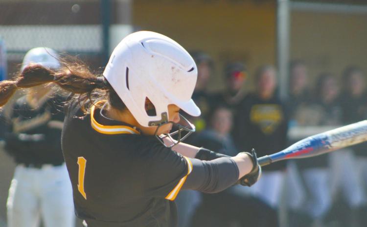 Tecumseh sophomore Serenity Jacoway takes her turn at bat in the game against North Rock Creek during the Harrah Tournament, held at the FireLake Ball Fields on March 24. The Tecumseh Lady Savages lost 2-4. Countywide &amp; Sun/Natasha Dunagan