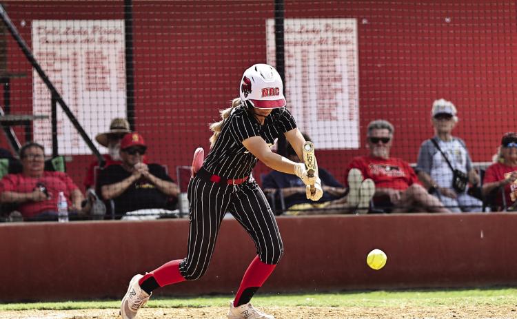 North Rock Creek’s Aubree Shivelhood lays down a bunt in action Friday. Photo courtesy of Gowin Photography