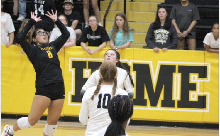 Lady Savages Libero Kayloni Cruz volleys the ball during Tecumseh’s third game with Blanchard on Aug. 24, 2023. File photo