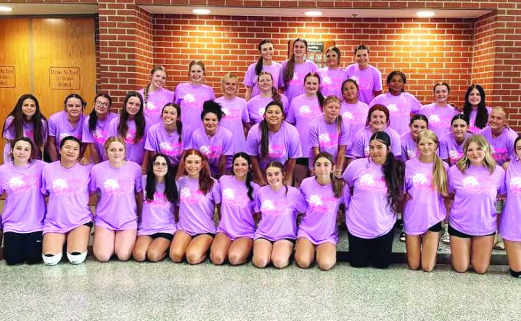 Tecumseh Lady Savage Volleyball, coached by Megan Laughlin, participate in Summer League, playing every Monday. Photo provided