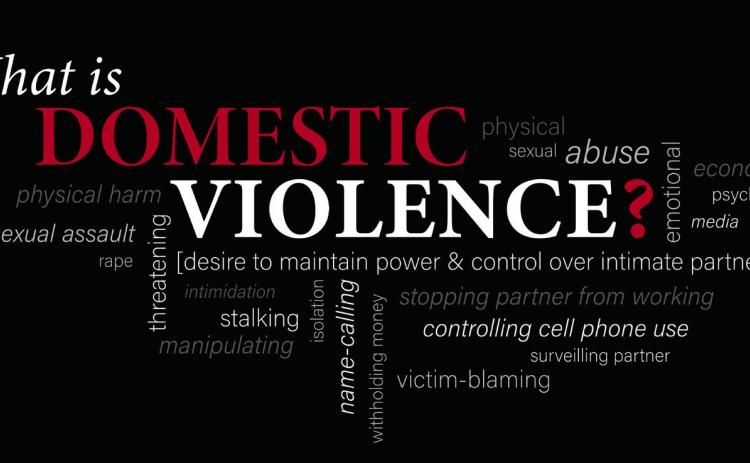Documenting Domestic Violence...