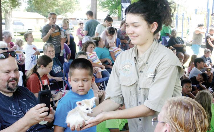 Alexis, trainer at Extreme Animals, lets folks pet the baby Fennec Fox at Slick Humphrey Park for Tecumseh’s Public Library’s Summer Reading Program on Thursday, June 8. Countywide &amp; Sun/Valerie Scott