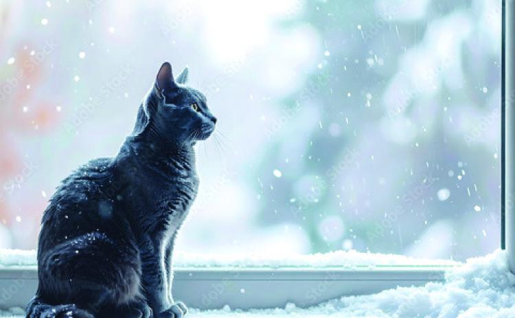 Winter Storm Watch