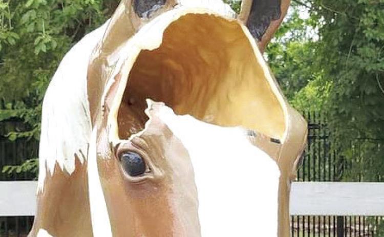 Horse Damaged By Unidenti ed Man