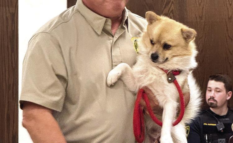 Shawnee City Commissioners were introduced to Bolt, a Pomeranian mix, getting the title of Pet of the Month by Animal Control during the February meeting. Bolt is held by Animal Control Officer Rice. Julie Talton, Countywide & Sun