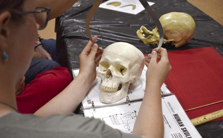 Teens learn about forensic osteology during the last Summer Learning Event of the year at Tecumseh Public Library on Wednesday, June 26. Countywide &amp; Sun/Valerie Scott